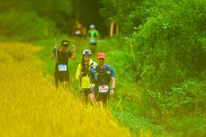 BIB: 
                            <button type="button" onclick="openModal(13455500)" class="btn btn-primary btn-sm float-right btn-popup" data-toggle="modal" data-target=".modal-high-quality">
                        <i class="fas fa-shopping-cart"></i> Add to Cart
                    </button>
                                            <button type="button" onclick="isThisMe(13455500, true)" class="btn btn-success btn-sm float-right btn-popup btn-isme hidden" data-toggle="tooltip" data-placement="bottom" title="นี่คือรูปของคุณใช่ไหม คลิกที่นี่เพื่อเอาเข้าอัลบั้ม">
                        <i class="fas fa-plus"></i> Add to album
                    </button>
                    <button type="button" onclick="isThisMe(13455500, false)" class="btn btn-warning btn-sm float-right btn-popup btn-isnotme hidden">
                        <i class="fas fa-ban"></i> Remove from album
                    </button>